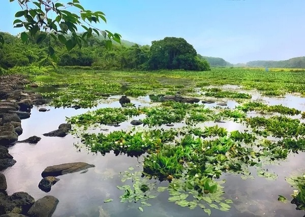 海南旅游景点-定安冷泉